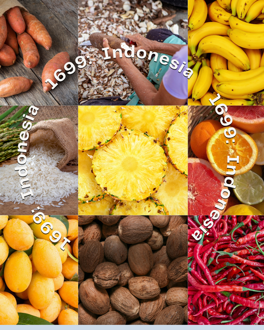 1699:  Indonesia