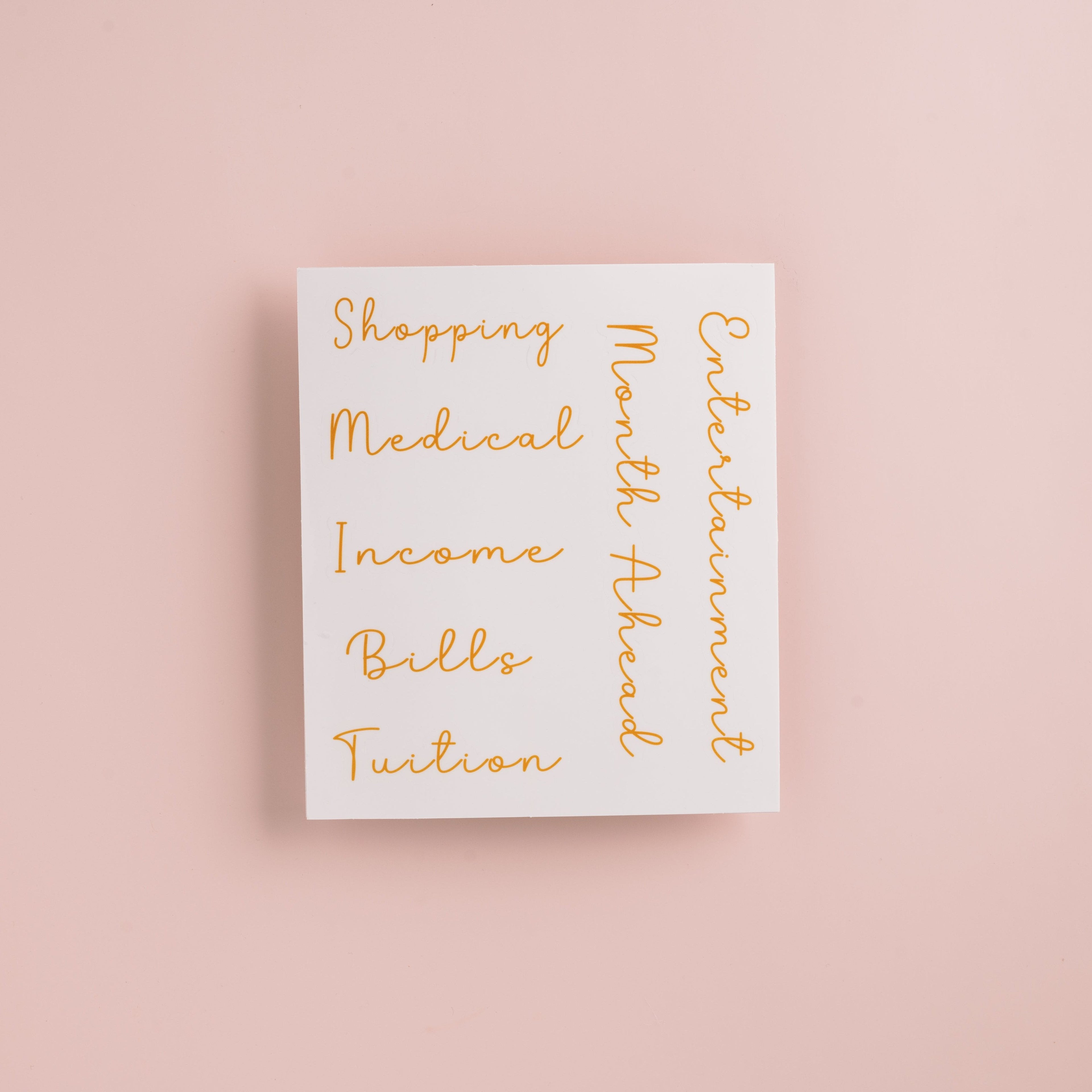 Self Care Budget Binder Kit